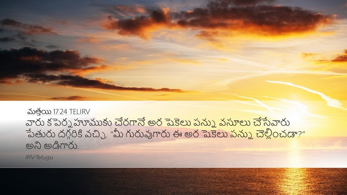 మత్తయి 17:24 TELIRV Bible Verse Image