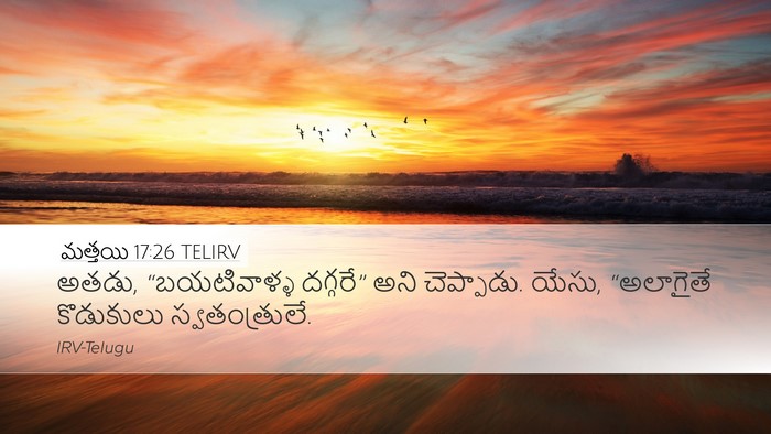 మత్తయి 17:26 TELIRV Desktop Wallpaper - అతడు, “బయటివాళ్ళ - Desktop Bible Verse Wallpaper