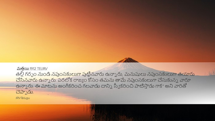 మత్తయి 19:12 TELIRV Desktop Wallpaper - తల్లి గర్భం నుండి - Desktop Bible Verse Wallpaper