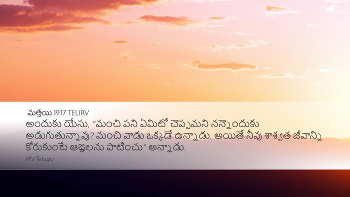 మత్తయి 19:17 TELIRV Bible Verse Image