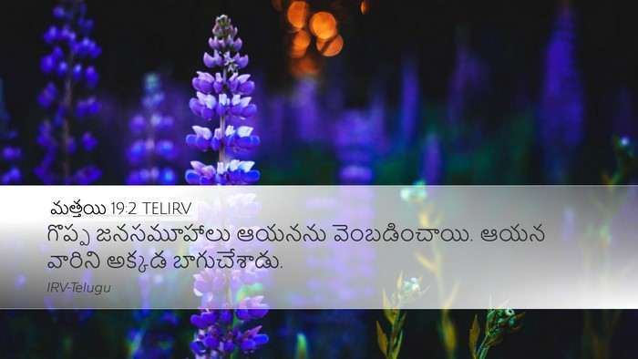 మత్తయి 19:2 TELIRV Desktop Wallpaper - గొప్ప జనసమూహాలు - Desktop Bible Verse Wallpaper
