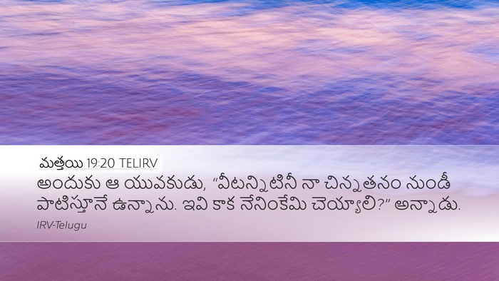 మత్తయి 19:20 TELIRV Bible Verse Image