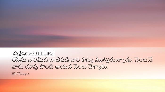 మత్తయి 20:34 TELIRV Bible Verse Image