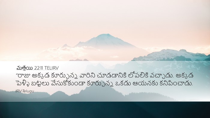 మత్తయి 22:11 TELIRV Bible Verse Image