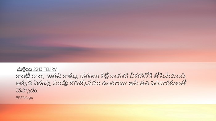 మత్తయి 22:13 TELIRV Bible Verse Image