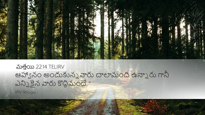 మత్తయి 22:14 TELIRV Bible Verse Image