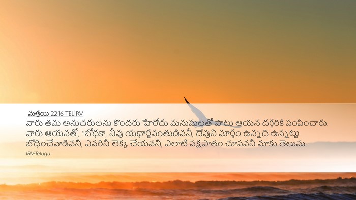 మత్తయి 22:16 TELIRV Bible Verse Image