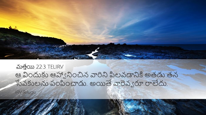 మత్తయి 22:3 TELIRV Bible Verse Image