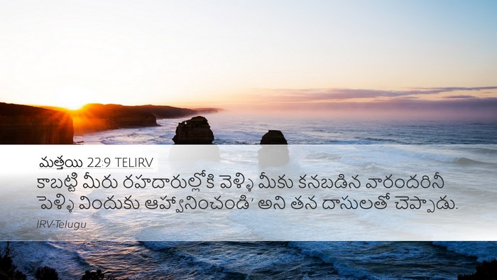 మత్తయి 22:9 TELIRV Bible Verse Image