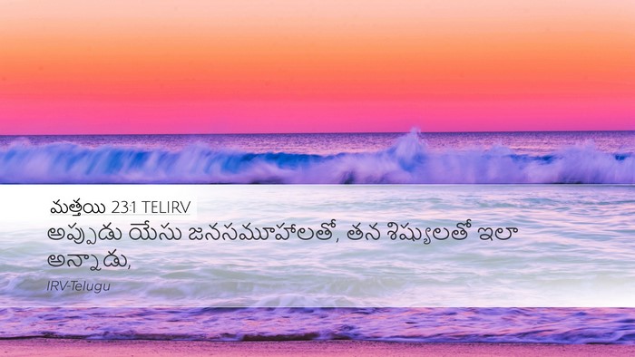 మత్తయి 23:1 TELIRV Bible Verse Image