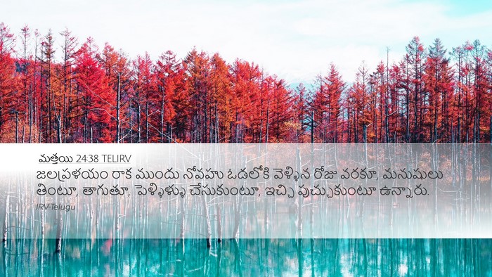 మత్తయి 24:38 TELIRV Bible Verse Image