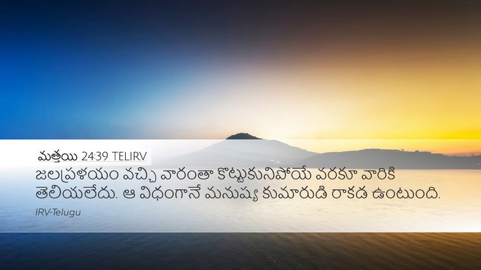 మత్తయి 24:39 TELIRV Bible Verse Image