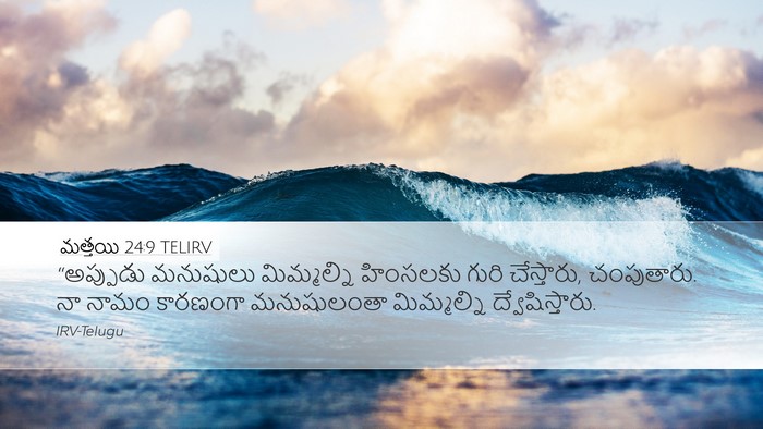 మత్తయి 24:9 TELIRV Bible Verse Image