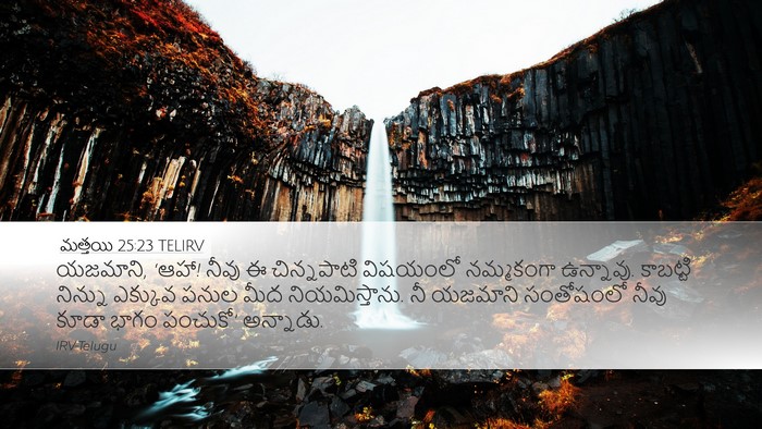మత్తయి 25:23 TELIRV Bible Verse Image