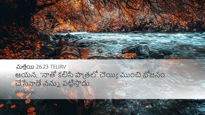 మత్తయి 26:23 TELIRV Bible Verse Image