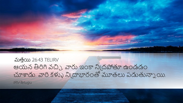 మత్తయి 26:43 TELIRV Bible Verse Image