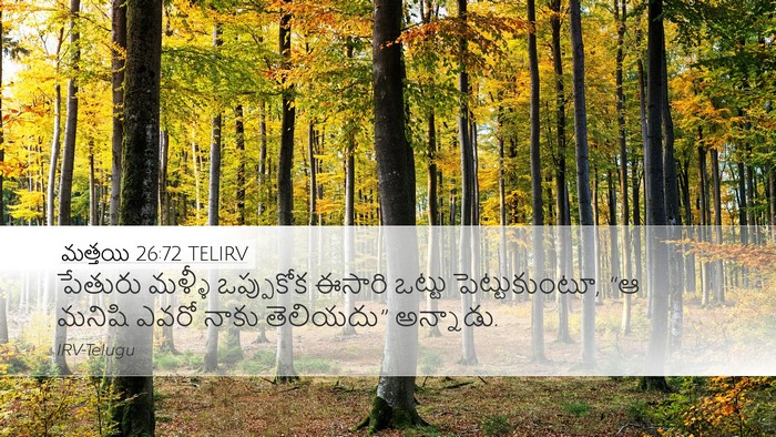 మత్తయి 26:72 TELIRV Bible Verse Image