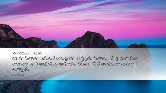 మత్తయి 27:11 TELIRV Bible Verse Image