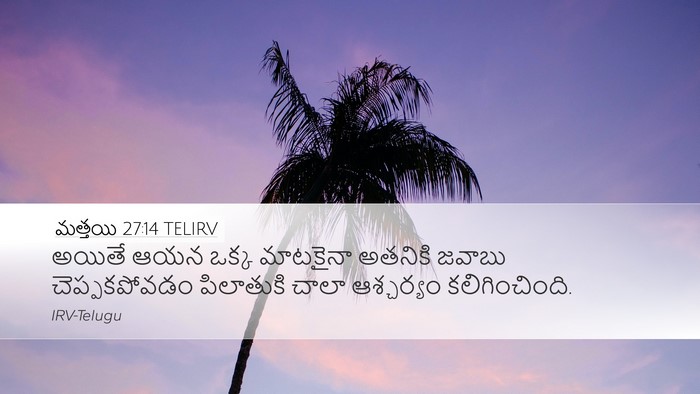 మత్తయి 27:14 TELIRV Bible Verse Image