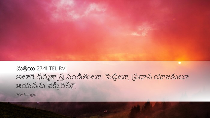 మత్తయి 27:41 TELIRV Bible Verse Image