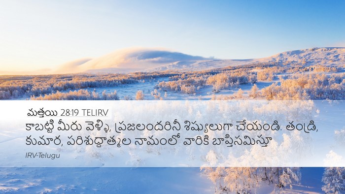 మత్తయి 28:19 TELIRV Bible Verse Image