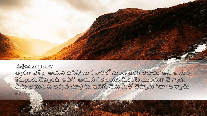 మత్తయి 28:7 TELIRV Bible Verse Image