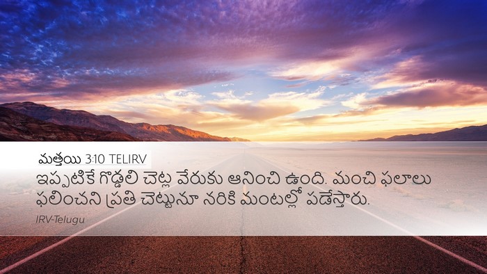 మత్తయి 3:10 TELIRV Desktop Wallpaper - ఇప్పటికే గొడ్డలి - Desktop Bible Verse Wallpaper