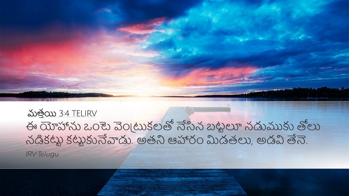 మత్తయి 3:4 TELIRV Desktop Wallpaper - ఈ యోహాను ఒంటె - Desktop Bible Verse Wallpaper