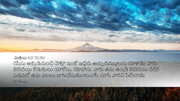 మత్తయి 4:21 TELIRV Bible Verse Image