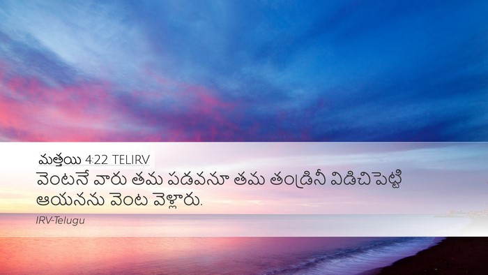మత్తయి 4:22 TELIRV Desktop Wallpaper - వెంటనే వారు తమ - Desktop Bible Verse Wallpaper