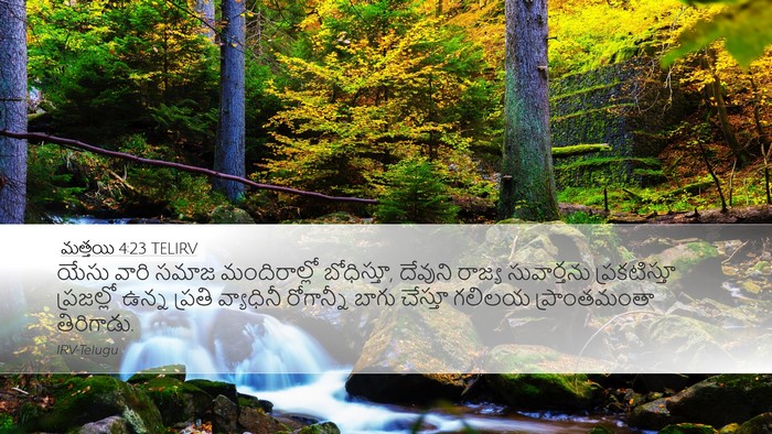 మత్తయి 4:23 TELIRV Bible Verse Image