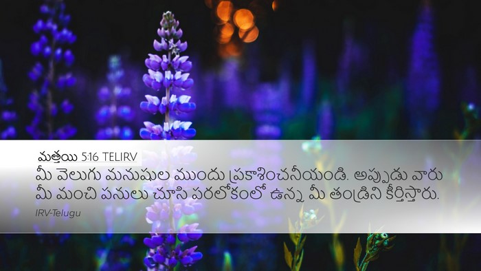 మత్తయి 5:16 TELIRV Desktop Wallpaper - మీ వెలుగు మనుషుల - Desktop Bible Verse Wallpaper