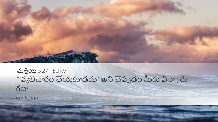 మత్తయి 5:27 TELIRV Bible Verse Image