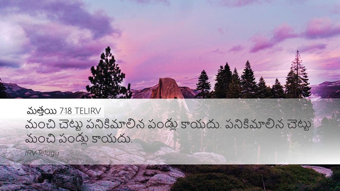 మత్తయి 7:18 TELIRV Bible Verse Image