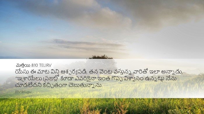 మత్తయి 8:10 TELIRV Bible Verse Image