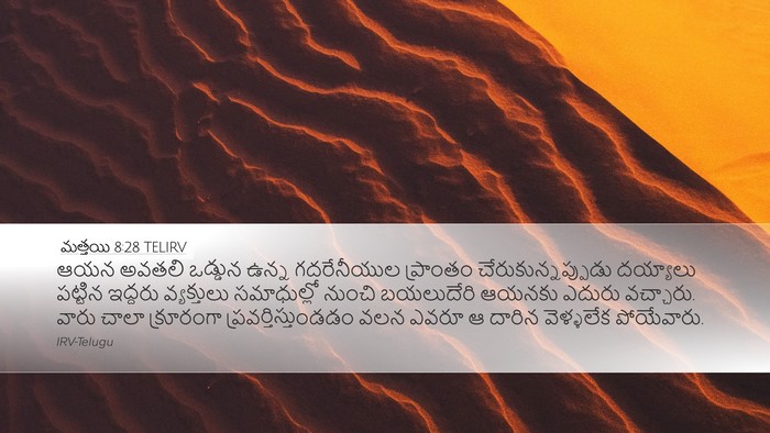 మత్తయి 8:28 TELIRV Bible Verse Image