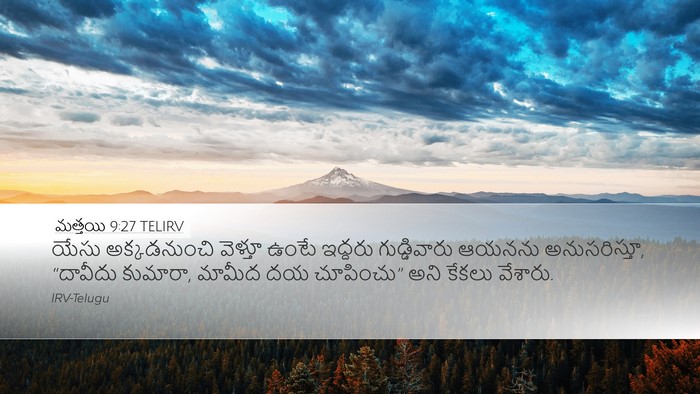 మత్తయి 9:27 TELIRV Desktop Wallpaper - యేసు అక్కడనుంచి - Desktop Bible Verse Wallpaper