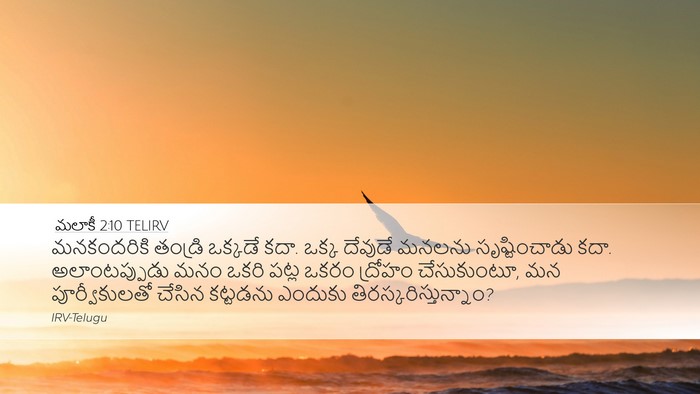 మలాకీ 2:10 TELIRV Bible Verse Image