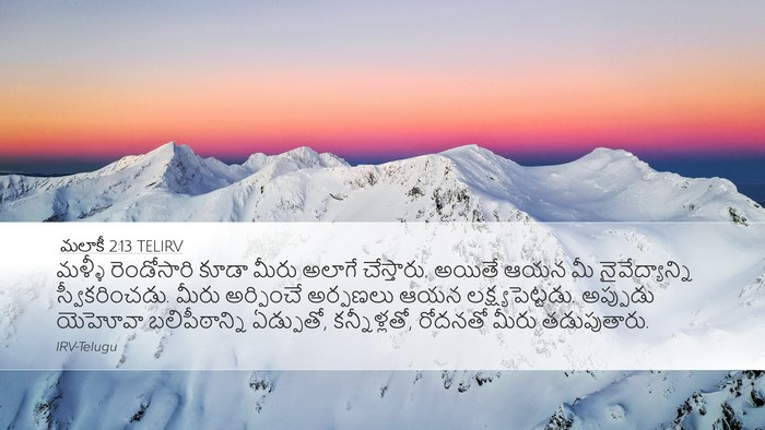 మలాకీ 2:13 TELIRV Bible Verse Image
