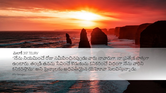 మలాకీ 3:17 TELIRV Bible Verse Image