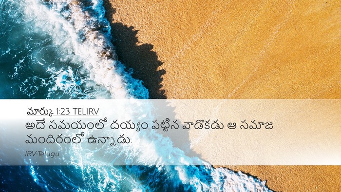మార్కు 1:23 TELIRV Bible Verse Image