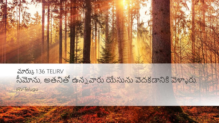 మార్కు 1:36 TELIRV Desktop Wallpaper - సీమోను, అతనితో - Desktop Bible Verse Wallpaper