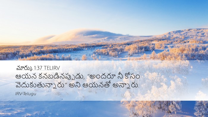 మార్కు 1:37 TELIRV Bible Verse Image