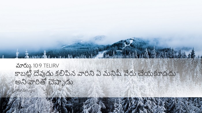 మార్కు 10:9 TELIRV Bible Verse Image