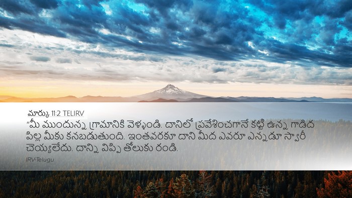 మార్కు 11:2 TELIRV Bible Verse Image