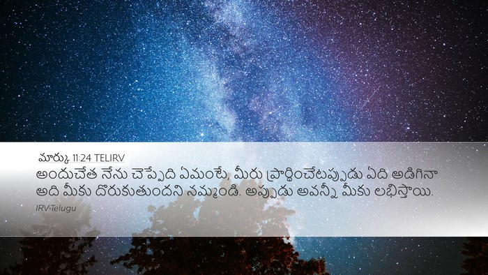 మార్కు 11:24 TELIRV Bible Verse Image
