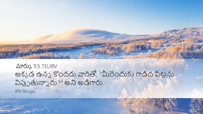 మార్కు 11:5 TELIRV Desktop Wallpaper - అక్కడ ఉన్న కొందరు - Desktop Bible Verse Wallpaper
