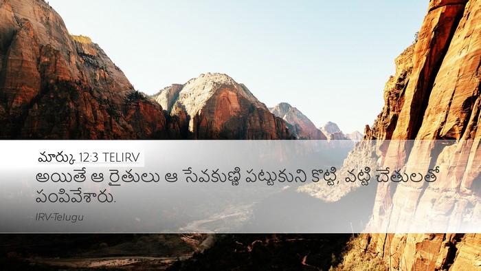 మార్కు 12:3 TELIRV Desktop Wallpaper - అయితే ఆ రైతులు ఆ - Desktop Bible Verse Wallpaper