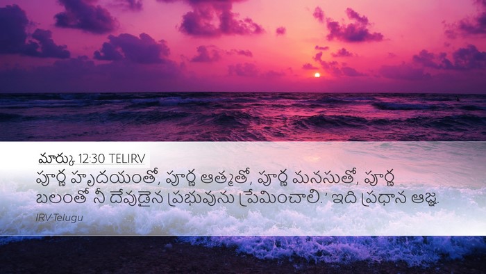 మార్కు 12:30 TELIRV Bible Verse Image