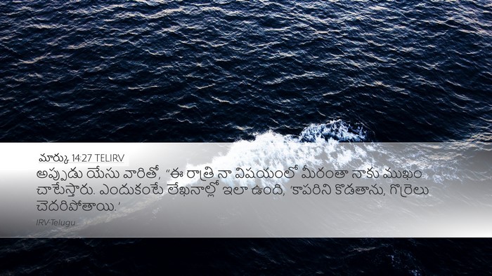 మార్కు 14:27 TELIRV Bible Verse Image